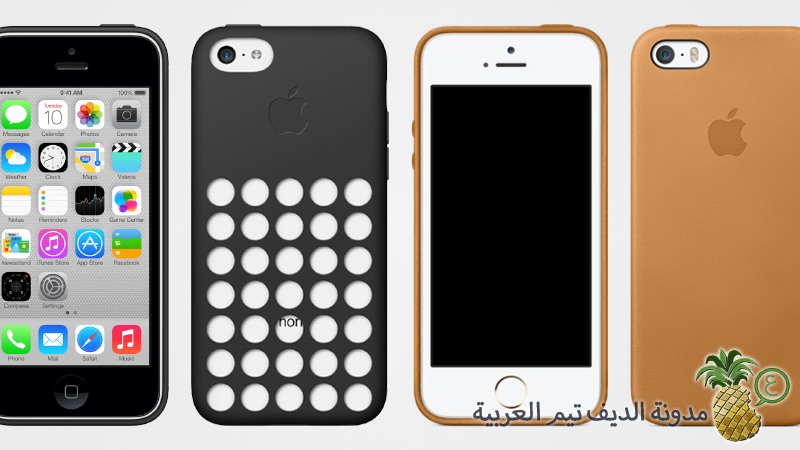 iPhone 5s and iPhone 5c case