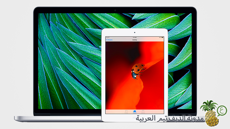 iPad and Mac